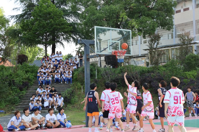 常德新德才職業(yè)學(xué)校,常德新德才,常德招生就業(yè),電子商務(wù)專(zhuān)業(yè)學(xué)校,專(zhuān)業(yè)學(xué)校報(bào)考哪里好